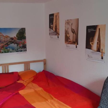 Gite De Benedicte Ancienne Douane Colmar Luaran gambar