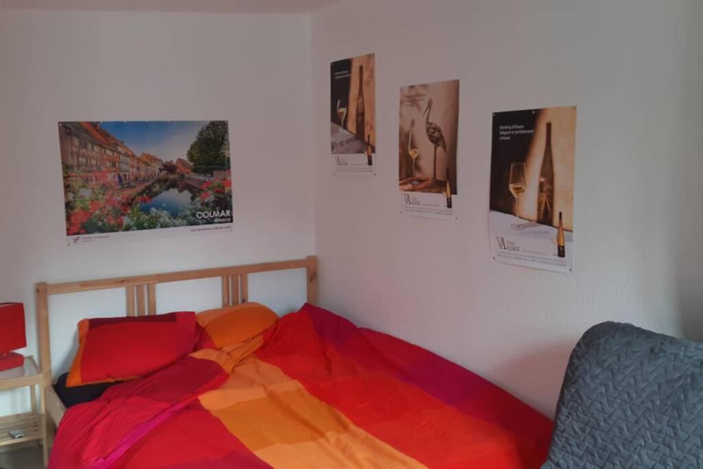 Gite De Benedicte Ancienne Douane Colmar Luaran gambar